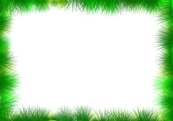 Травяной Кадр Выделенным Белом Фоне Пространством Копирования — стоковое фото