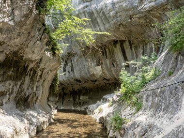 Banita vadisi (Cheile Banitei), Petrosani kenti, Hunedoara ilçesi, Romanya