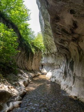 Banita vadisi (Cheile Banitei), Petrosani kenti, Hunedoara ilçesi, Romanya