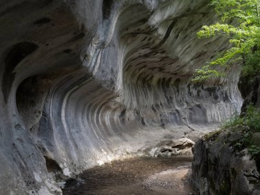 Banita vadisi (Cheile Banitei), Petrosani kenti, Hunedoara ilçesi, Romanya