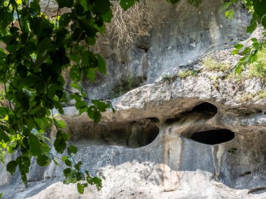 Romanya 'nın Hunedoara kenti Petrosani kenti yakınlarındaki Banita vadisi (Cheile Banitei) detayları