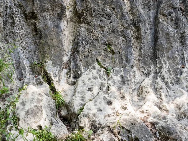 Деталі Ущелини Баніта Чіле Баніта Поблизу Міста Петрошань Графство Хунедоара — стокове фото