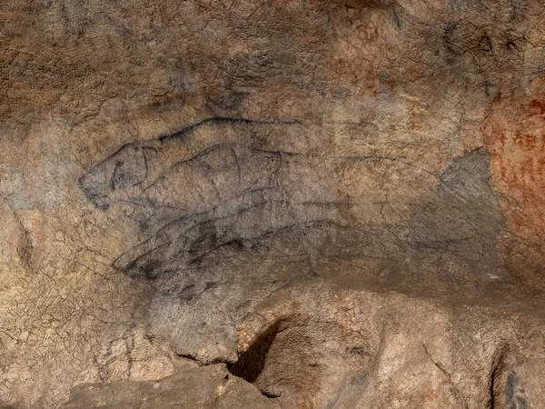 Dipinti Rupestri Nella Grotta Bolii Pestera Bolii Vicino Alla Città — Foto Stock