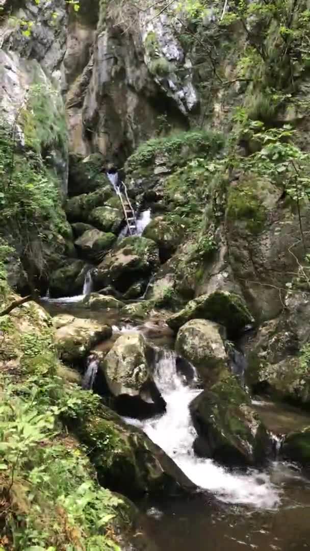 Wasserfall Cerna Tal Kreis Caras Severin Der Nähe Von Cerna — Stockvideo