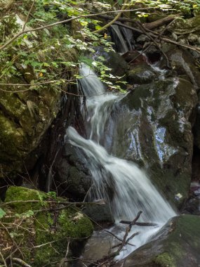 Cerna Sat yakınlarındaki Caras Severin ilçesinde Cerna Vadisi 'nde şelale.. 