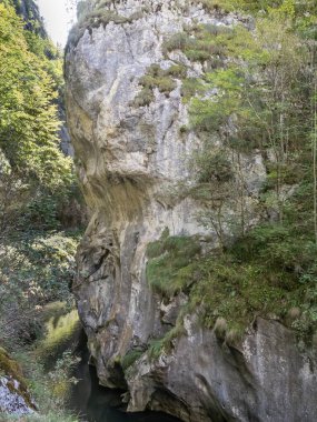 Corcoaia Gorge (Cheile Corcoaia), Romanya 'nın Gorj ilinin Cerna Sat kenti yakınlarında korunan bölge