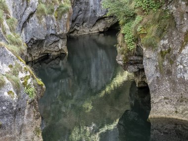Corcoaia Gorge (Cheile Corcoaia), Romanya 'nın Gorj ilinin Cerna Sat kenti yakınlarında korunan bölge