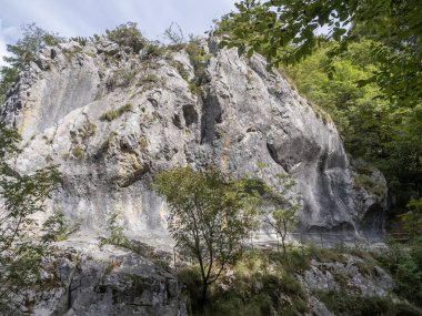 Corcoaia Gorge (Cheile Corcoaia), Romanya 'nın Gorj ilinin Cerna Sat kenti yakınlarında korunan bölge