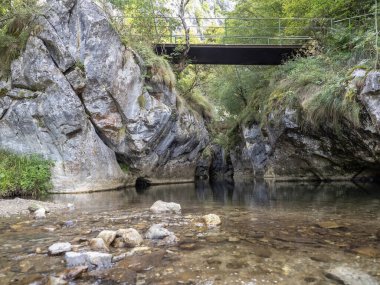 Corcoaia Gorge (Cheile Corcoaia), Romanya 'nın Gorj ilinin Cerna Sat kenti yakınlarında korunan bölge