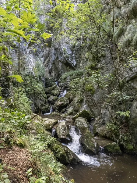Cascata Sulla Valle Del Cerna Nella Contea Caras Severin Vicino — Foto Stock