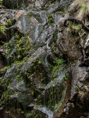 Cheile Galbenului vadisindeki güzel şelale, Baia de Fier, Gorj, Romanya