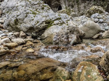 Görüntü: Cheile Oltetului vadisi, Polovragi, Gorj, Romanya