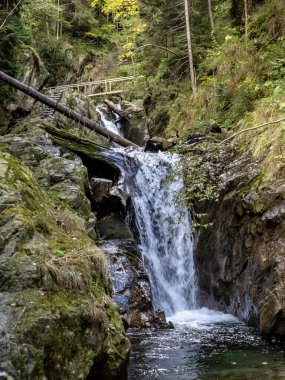 Maria Vadisi 'ndeki şelale (Valea Mariii) boğazı, Hunedoara ilçesi, Romanya