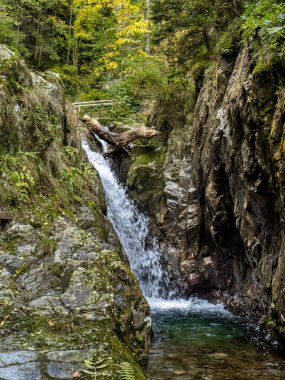 Maria Vadisi 'ndeki şelale (Valea Mariii) boğazı, Hunedoara ilçesi, Romanya