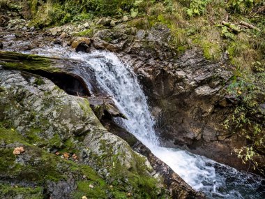 Maria Vadisi 'ndeki şelale (Valea Mariii) boğazı, Hunedoara ilçesi, Romanya