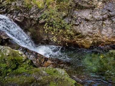 Maria Vadisi 'ndeki şelale (Valea Mariii) boğazı, Hunedoara ilçesi, Romanya