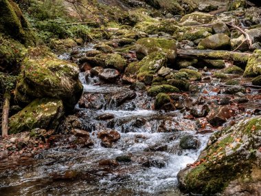 Görüntü: Cheile Butii Gorge, Campu lui Neag, Hunedoara, Romanya