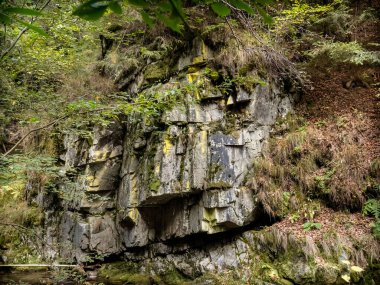 Görüntü: Maria Valley (Valea Mariii) vadisi, Hunedoara ilçesi, Romanya