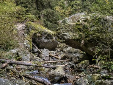 Görüntü: Maria Valley (Valea Mariii) vadisi, Hunedoara ilçesi, Romanya