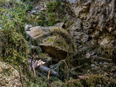 Görüntü: Maria Valley (Valea Mariii) vadisi, Hunedoara ilçesi, Romanya