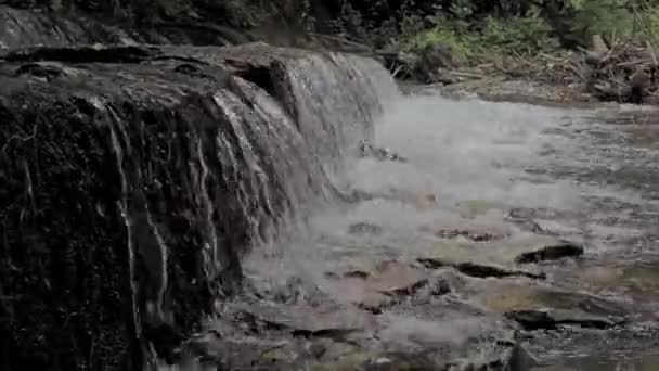 Wasserfall Der Banita Schlucht Cheile Banitei Der Nähe Der Stadt — Stockvideo