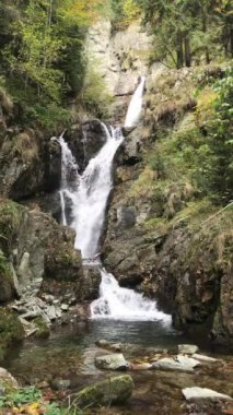 Romanya 'nın Hunedoara ilindeki Maria Vadisi (Valea Mariii) boğazında şelale. Dikey video.