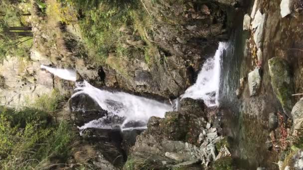 Wodospad Wąwozie Valea Mariii Okręg Hunedoara Rumunia Pionowe Wideo — Wideo stockowe