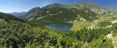 Romanya 'nın başkenti Retezat' taki Lia gölünün panoramik manzarası. 