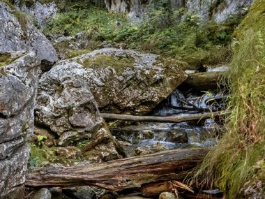 Görüntü: Cheile Butii Gorge, Campu lui Neag, Hunedoara, Romanya