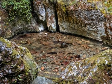 Image from Cheile Butii gorge, near Campu lui Neag, Hunedoara,  Romania clipart