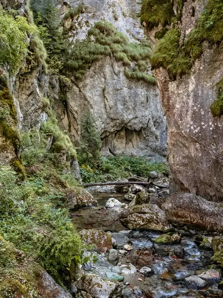 stock image Image from Cheile Butii gorge, near Campu lui Neag, Hunedoara,  Romania