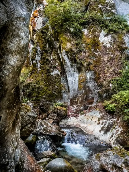 Görüntü: Cheile Butii Gorge, Campu lui Neag, Hunedoara, Romanya