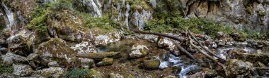 Panoramic image from Cheile Butii gorge, near Campu lui Neag, Hunedoara,  Romania clipart