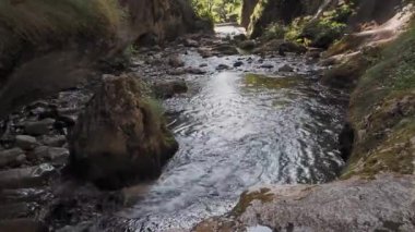 Cheile Butii vadisi, Campu lui Neag, Hunedoara, Romanya yakınlarında. 4K çözünürlüğü.