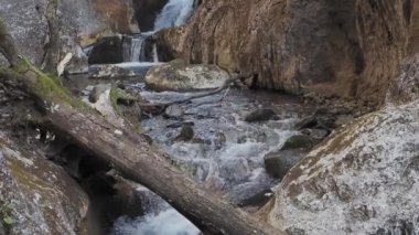 Cheile Butii vadisi, Campu lui Neag, Hunedoara, Romanya yakınlarında. 4K çözünürlüğü.