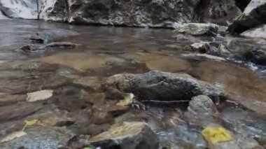 Cheile Butii vadisi, Campu lui Neag, Hunedoara, Romanya yakınlarında. 4K çözünürlüğü.