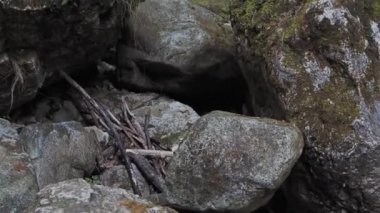 Cheile Butii vadisi, Campu lui Neag, Hunedoara, Romanya yakınlarında. 4K çözünürlüğü.