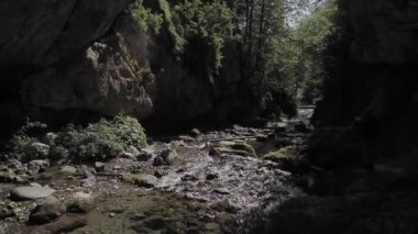 Cheile Butii vadisi, Campu lui Neag, Hunedoara, Romanya yakınlarında. 4K çözünürlüğü.