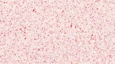 Değişik renkler ve hareketli şekillerle soyut renkli video arkaplanı seti. 4K çözünürlüğü