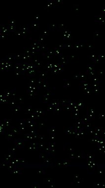 Değişik renkler ve hareketli şekillerle soyut renkli video arkaplanı seti. 4K çözünürlüğü