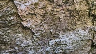  Ponoarele mağarasına giriş, Mehedinti. 4K video.