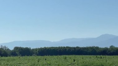 Romanya 'nın Fagaras dağlarındaki dağ manzarası. Panoramik görünüm.