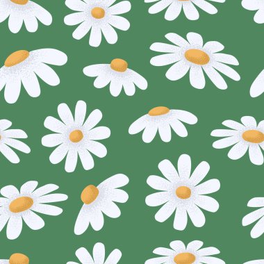 Papatya çayı dikişsiz yeşil desen. Şirin papatya çiçekleri. Kumaş ve kağıda basmak için ideal. Vektör arkaplanı..