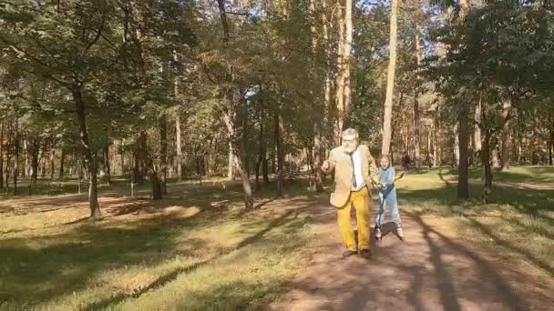 祖父はローラースケートをしている公園で子供と遊んでいます おじいちゃんは杖にしがみついている少女を引っ張る — ストック動画