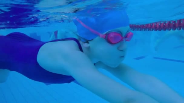 Dívka Plave Pod Vodou Bazénu Zpomalený Pohyb Pod Vodou Dítě — Stock video