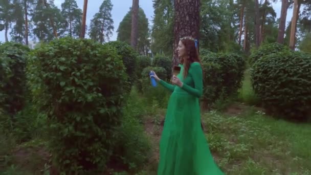 Kobieta Sukience Wróżki Maluje Drzewa Farbą — Wideo stockowe
