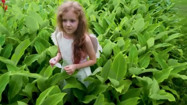 Tender Little Angel Girl Green Leaves Her Hands Feather Wing — Stock Video