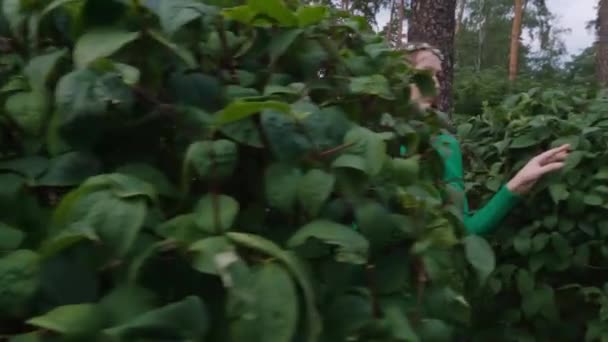 Fada Mulher Vestido Verde Entre Árvores Como Jardim Fadas — Vídeo de Stock