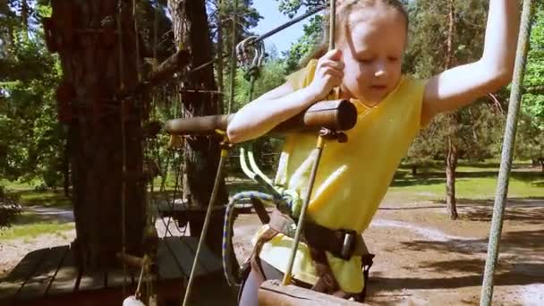 Plerden Yapılmış Bir Orman Macera Parkındaki Çocuk Çocukların Açık Hava — Stok video