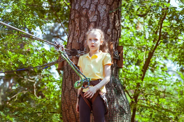 Child Forest Adventure Park Made Ropes Children Outdoor Climbing Entertainment — Stock Photo, Image